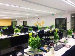 深圳金瑞龙彩绘涂鸦【东莞墙绘】