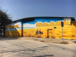 增城浦心村【室内墙绘】